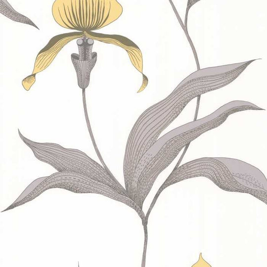 Cole &amp; Son The Contemporary Selection Orchid behang 95/10057