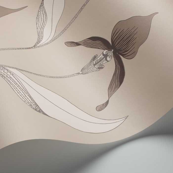 Cole &amp; Son The Contemporary Selection Orchid behang 95/10058