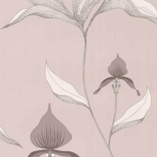Cole &amp; Son The Contemporary Selection Orchid behang 95/10058