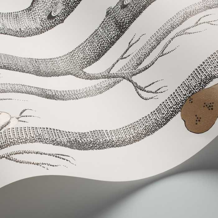 Cole &amp; Son The Contemporary Selection Woods &amp; Pears behang 95/5027