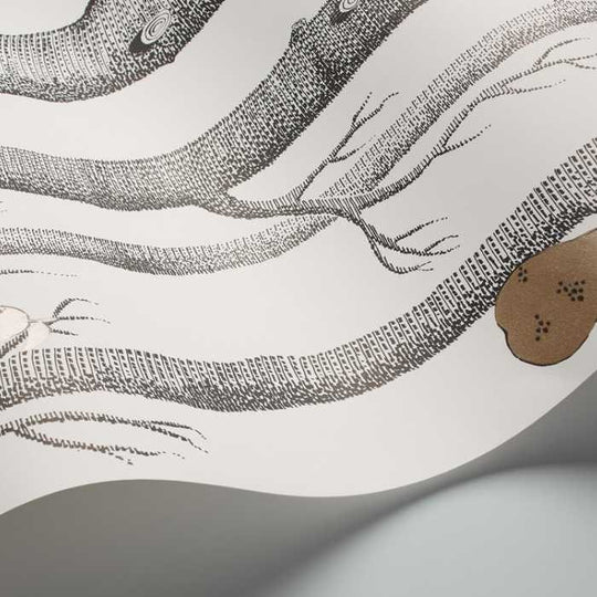 Cole &amp; Son The Contemporary Selection Woods &amp; Pears behang 95/5027