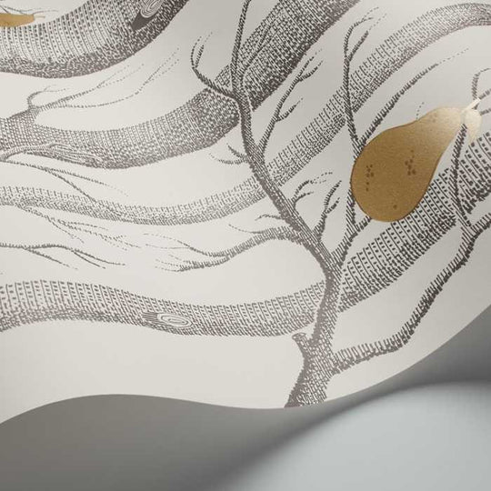 Cole &amp; Son The Contemporary Selection Woods &amp; Pears behang 95/5032