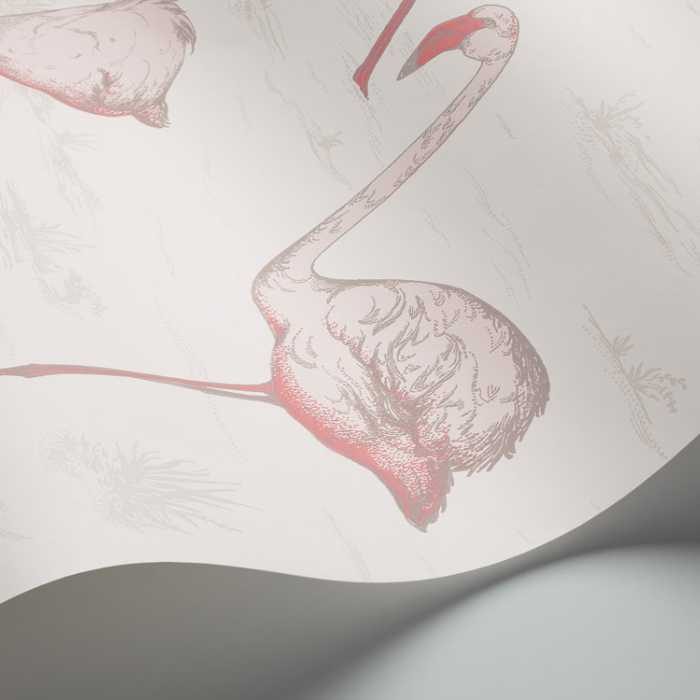 Cole & Son The Contemporary Selection Flamingos behang 95/8045