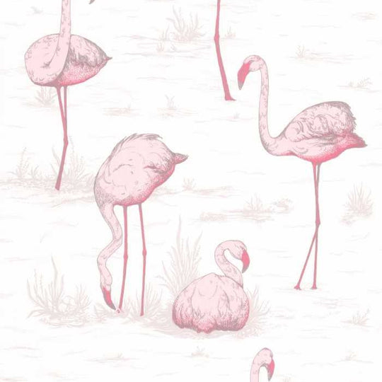 Cole &amp; Son The Contemporary Selection Flamingos behang 95/8045