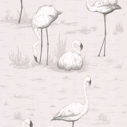 Cole &amp; Son The Contemporary Selection Flamingos behang 95/8046