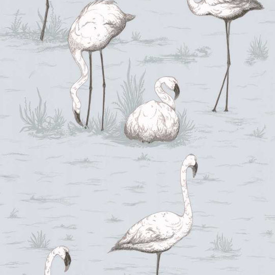 Cole &amp; Son The Contemporary Selection Flamingos behang 95/8047