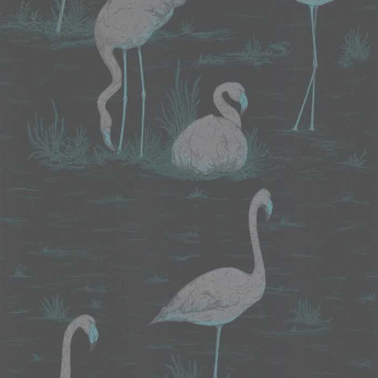 Cole &amp; Son The Contemporary Selection Flamingos behang 95/8048
