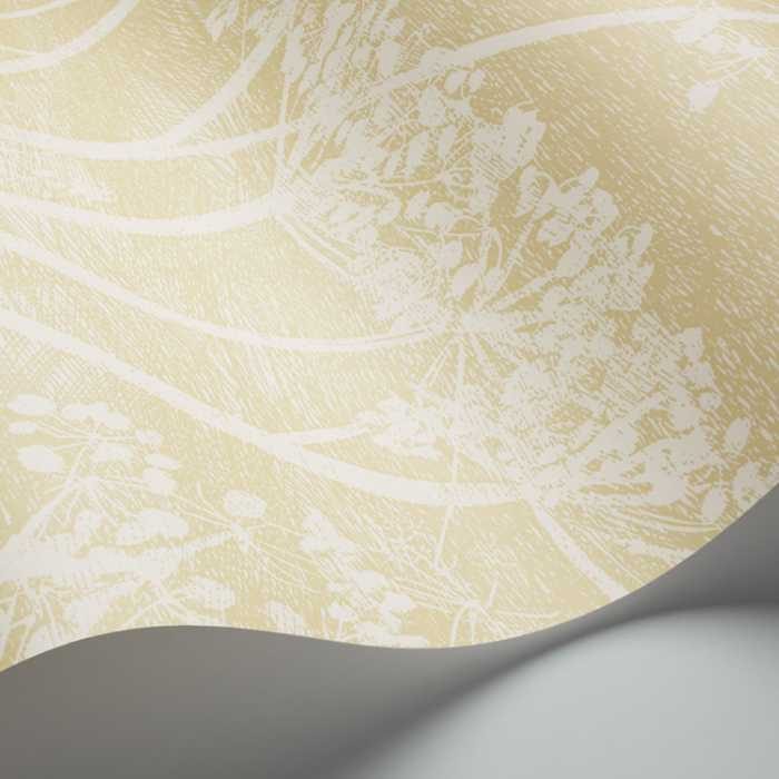 Cole &amp; Son The Contemporary Selection Cow Parsley behang 95/9053