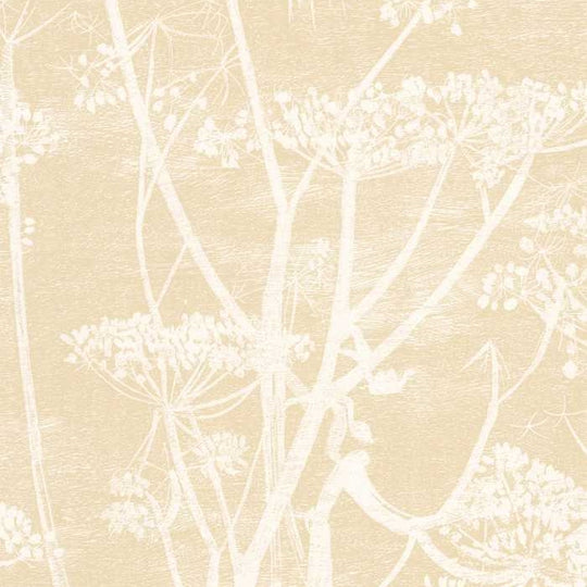 Cole &amp; Son The Contemporary Selection Cow Parsley behang 95/9053