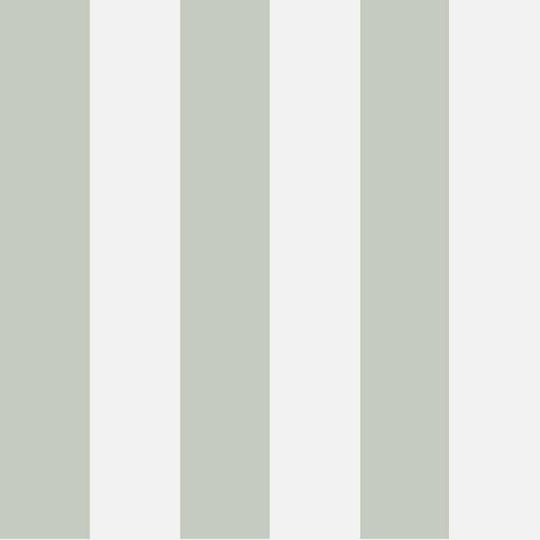 Cole &amp; Son Marquee Stripes Glastonbury Stripe behang 96/4020