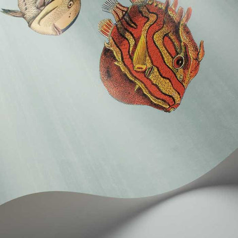 Cole & Son Fornasetti Selection Acquario behang 97/10030