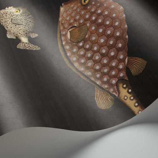 Cole &amp; Son Fornasetti Selection Acquario behang 97/10048