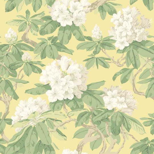 Cole &amp; Son Folie Bourlie behang 99/4021