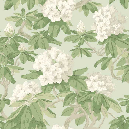 Cole &amp; Son Folie Bourlie behang 99/4022