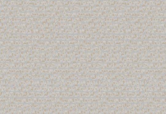 HookedOnWalls Academy Geometrico Phoenix behang 25642Afbeelding 1