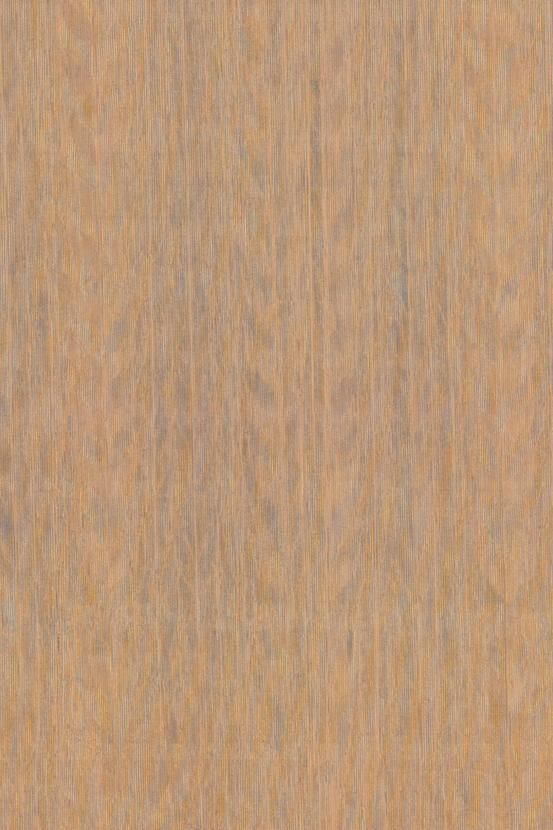 ARTE Fierce Amazone 2 23503 afbeelding 1