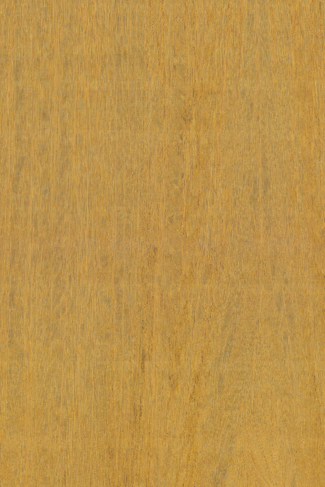 ARTE Fierce Amazone 2 23504 afbeelding 1 "Goud"