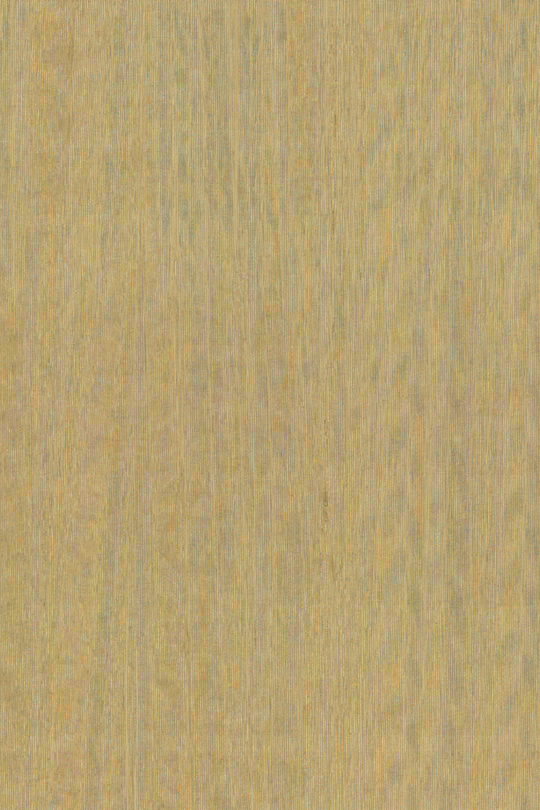 ARTE Fierce Amazone 2 23506 afbeelding 1 "Naturel"