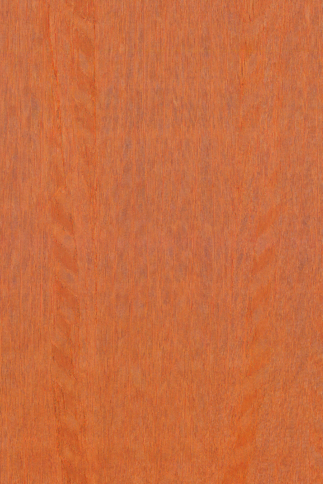 ARTE Fierce Amazone 2 23507 afbeelding 1 "Koper","Oranje"