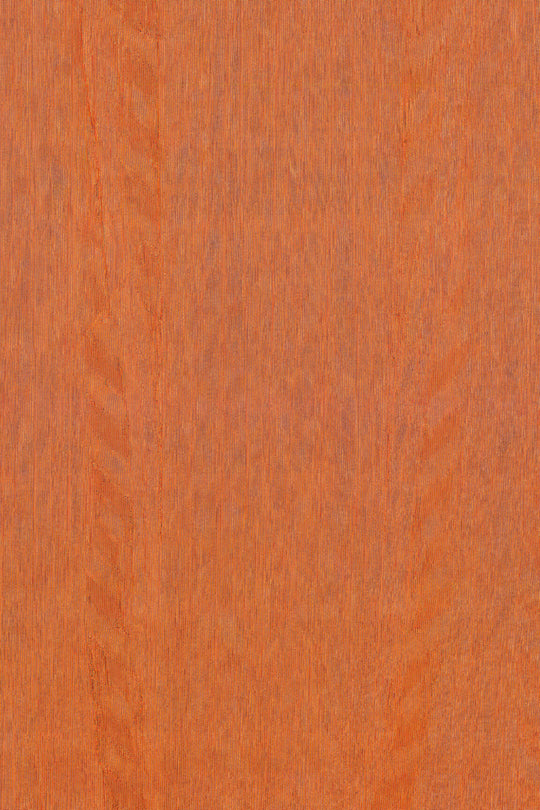 ARTE Fierce Amazone 2 23507 afbeelding 1 "Koper","Oranje"