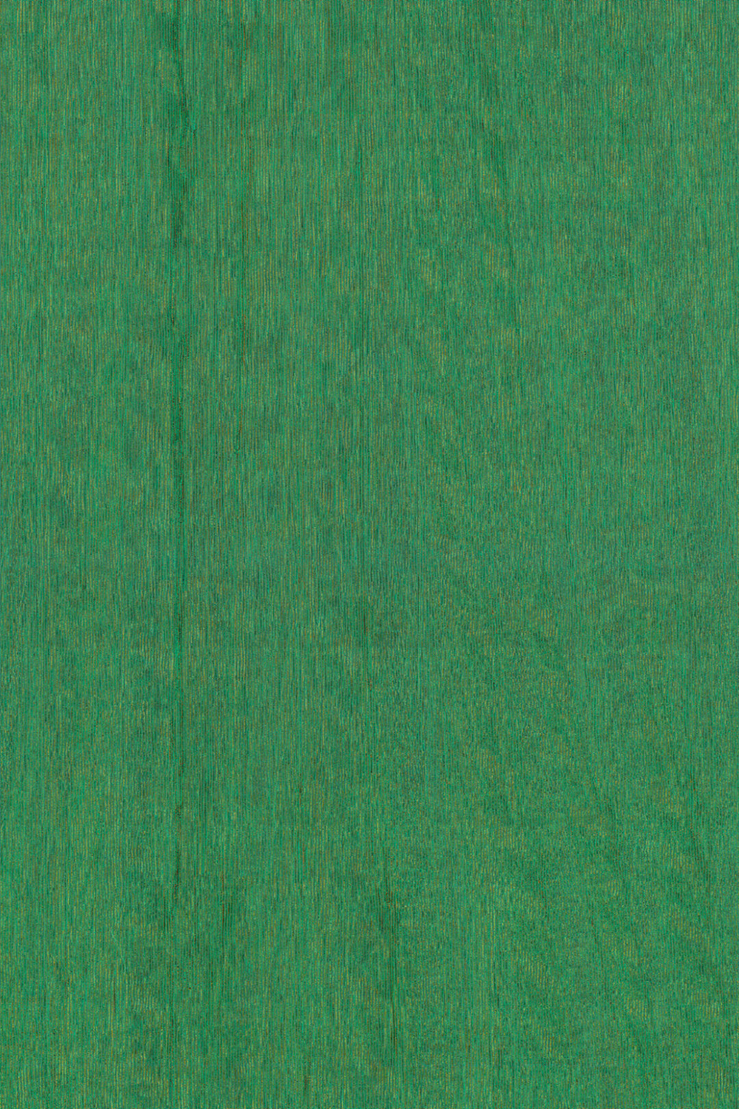 ARTE Fierce Amazone 2 23509 afbeelding 1 "Groen"