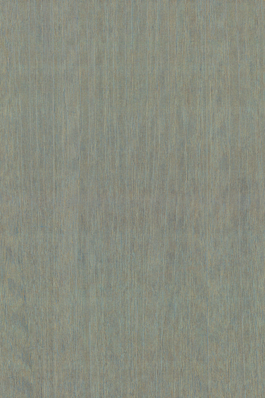 ARTE Fierce Amazone 2 23510 afbeelding 1 "Zwart / Grijs"