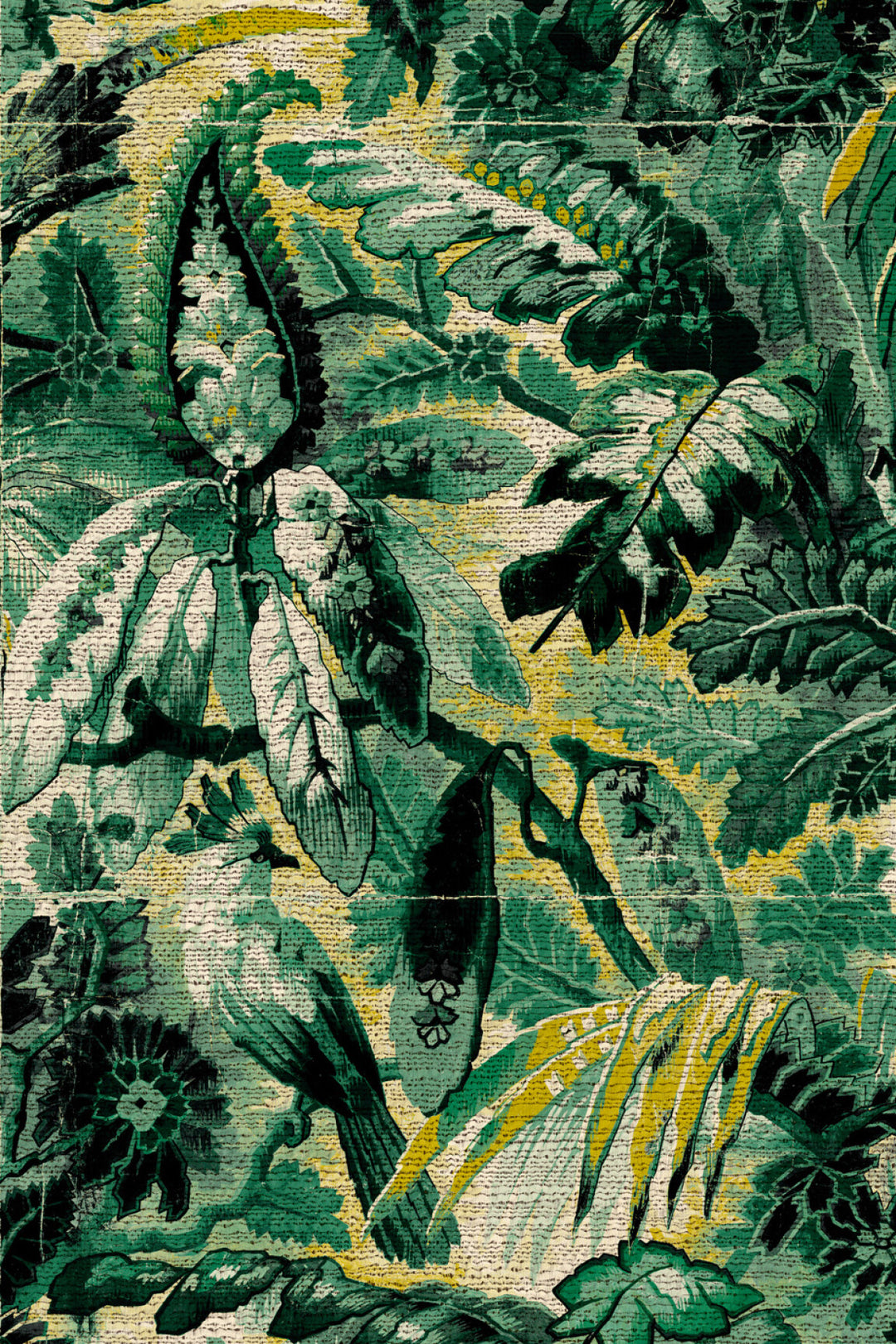 ARTE Tropicali Antigua 33000 afbeelding 1 "Groen"