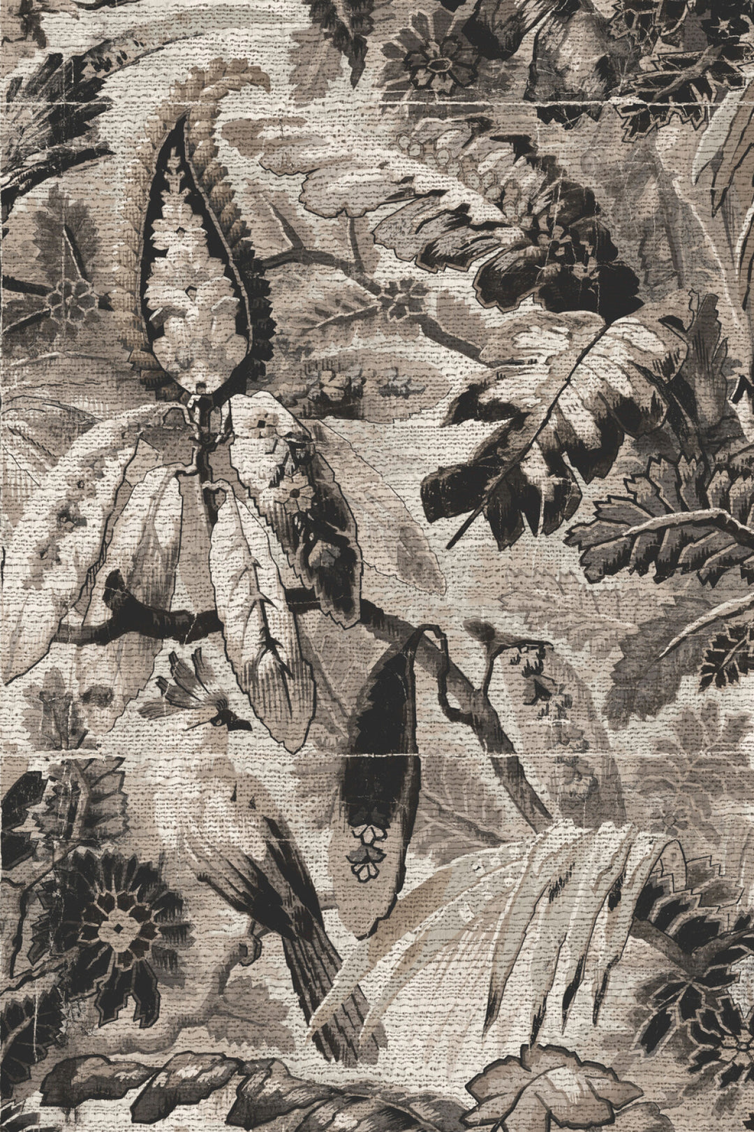 ARTE Tropicali Antigua 33003 afbeelding 1 "Zwart / Grijs"