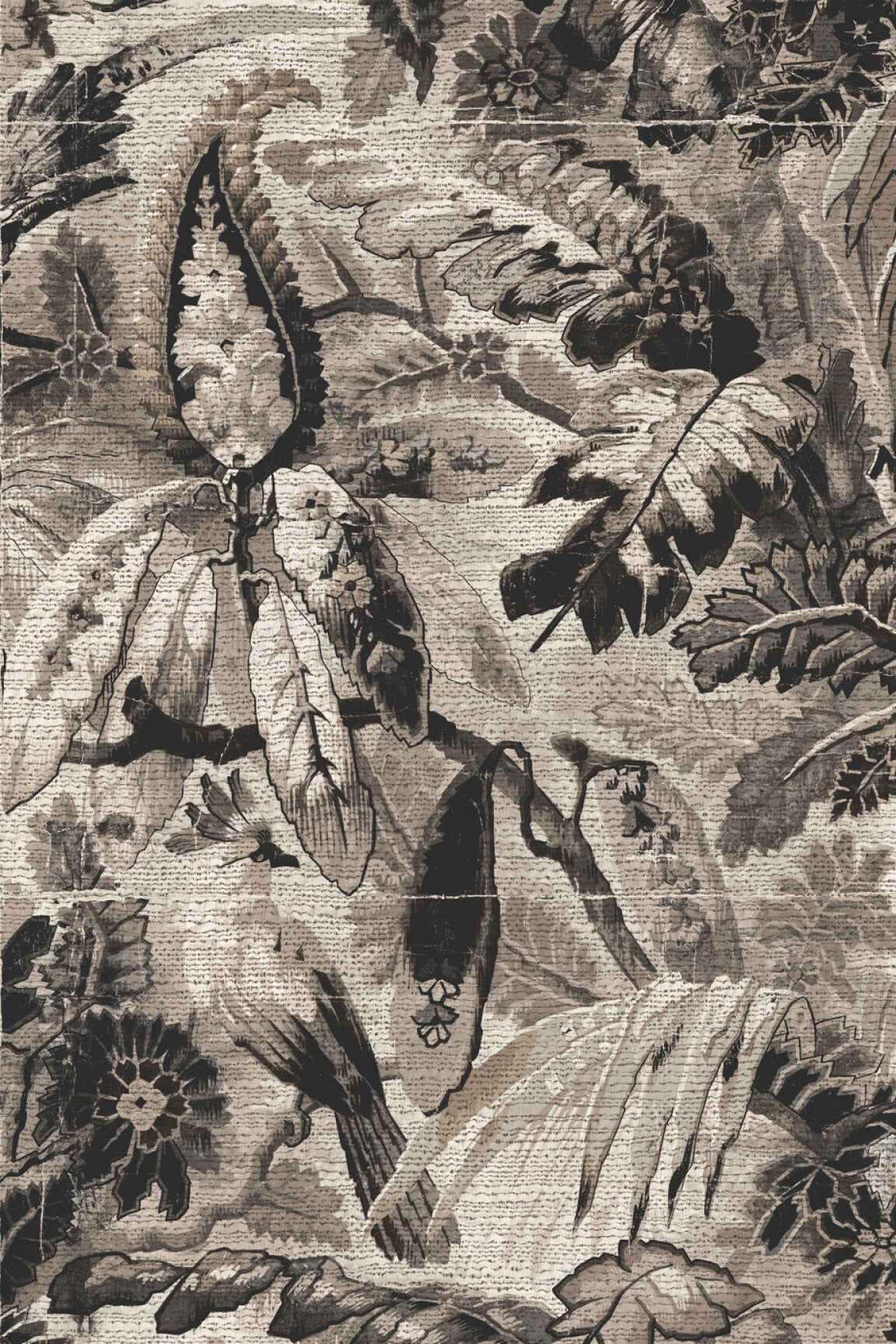ARTE Tropicali Antigua 33003 afbeelding 1 "Zwart / Grijs"