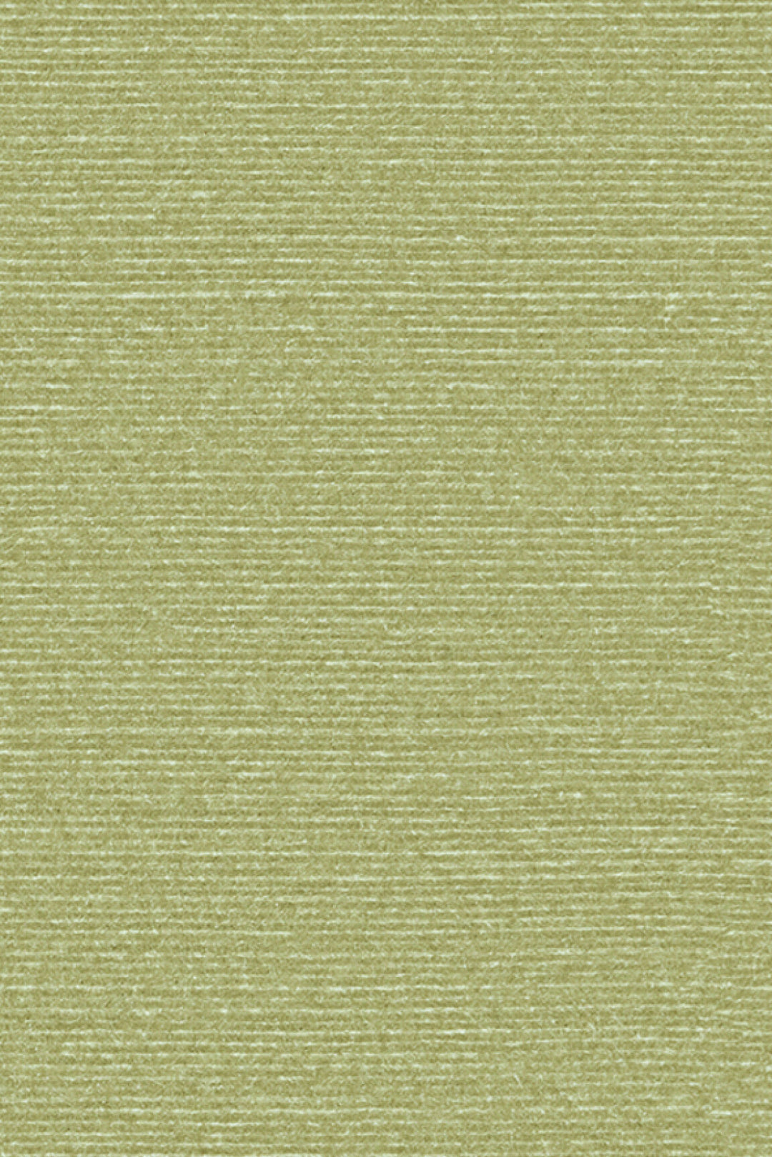 ARTE Silky Birds of Paradise BOP317 afbeelding 1 "Groen"