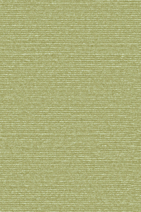 ARTE Silky Birds of Paradise BOP317 afbeelding 1 "Groen"