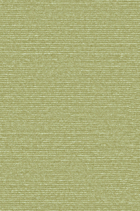 ARTE Silky Birds of Paradise BOP317 afbeelding 1 "Groen"