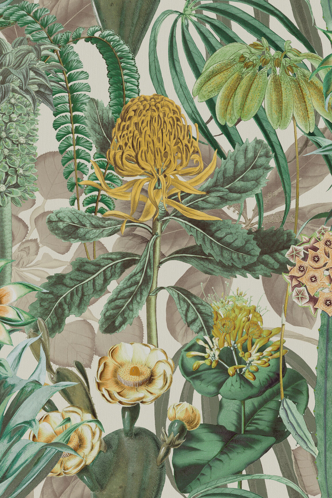 ARTE The Botanist Birds of Paradise BOP601 afbeelding 1 "Groen","Zwart / Grijs"
