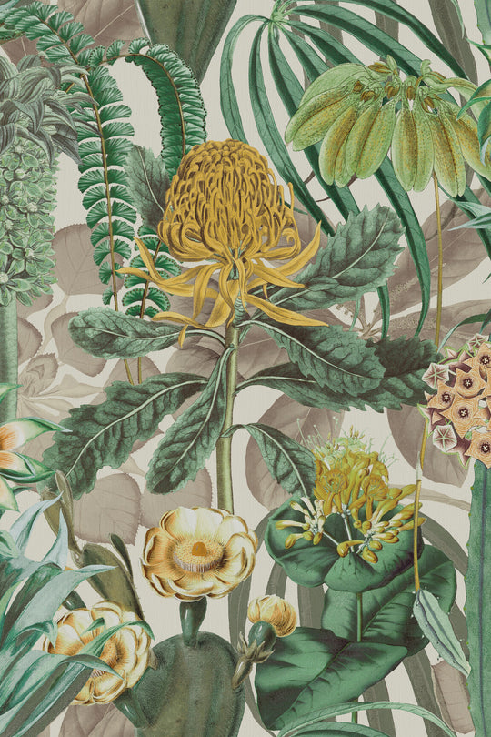 ARTE The Botanist Birds of Paradise BOP601 afbeelding 1 "Groen","Zwart / Grijs"