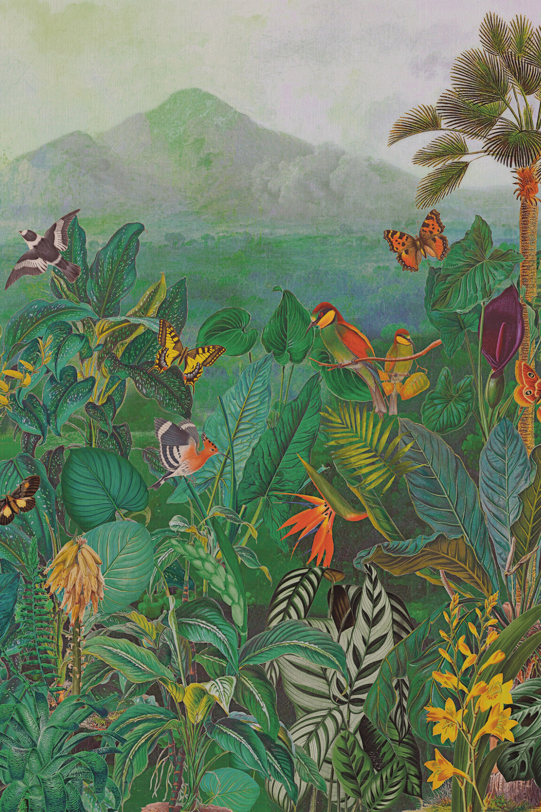 ARTE The Tropics Birds of Paradise BOP401 afbeelding 1 "Groen"