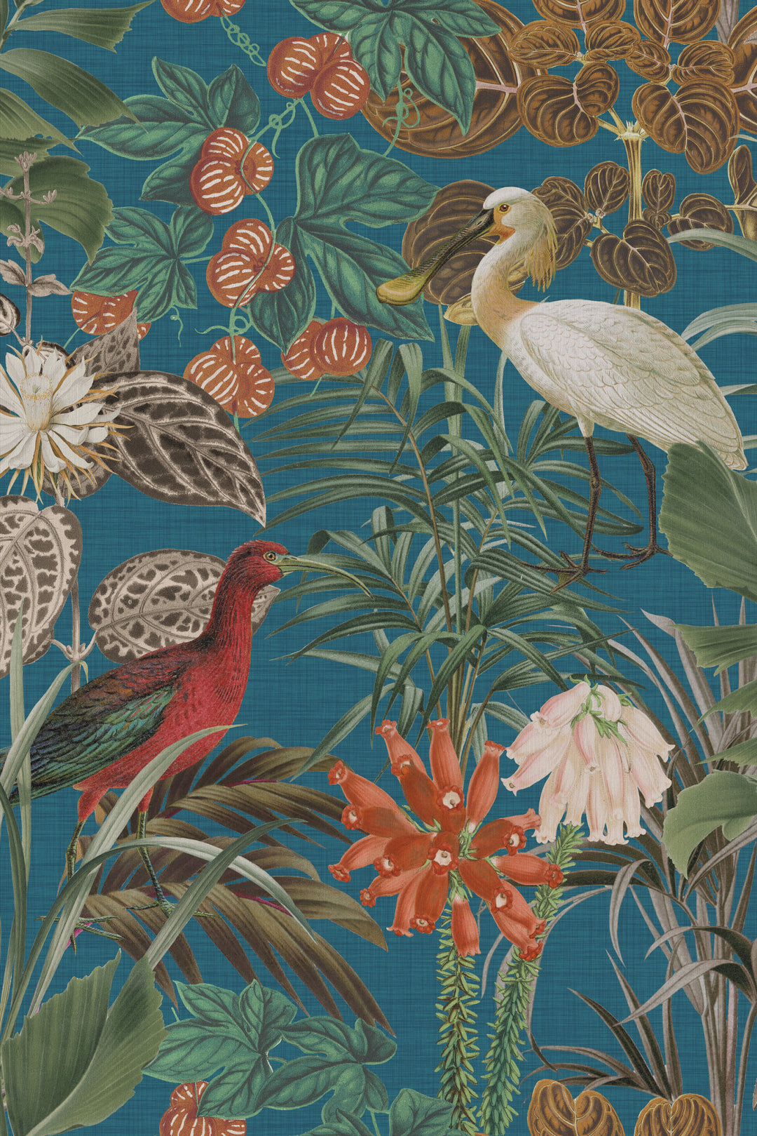ARTE The Wading Birds Birds of Paradise BOP501 afbeelding 1 "Groen"