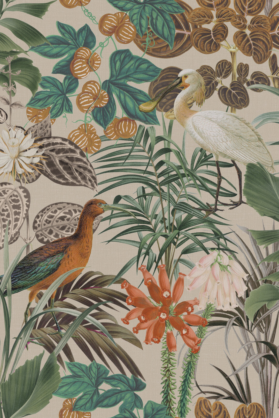 ARTE The Wading Birds Birds of Paradise BOP502 afbeelding 1 "Groen","Naturel"
