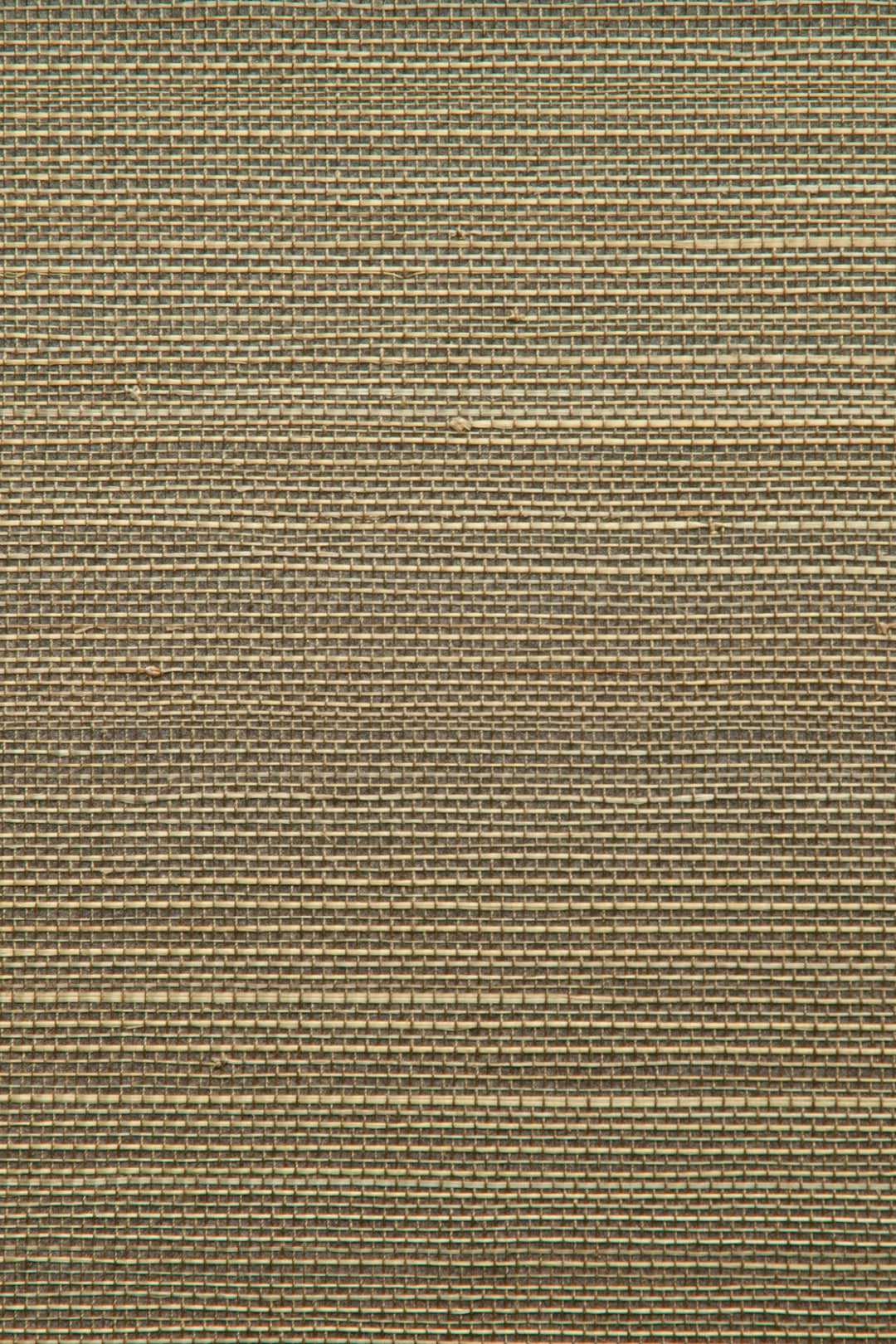 ARTE Fields Boracay 90062 afbeelding 1 "Bruin","Naturel"