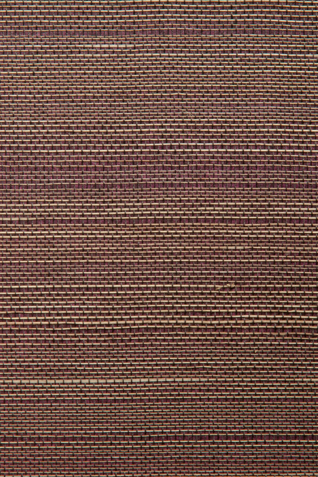 ARTE Fields Boracay 90065 afbeelding 1 "Paars"