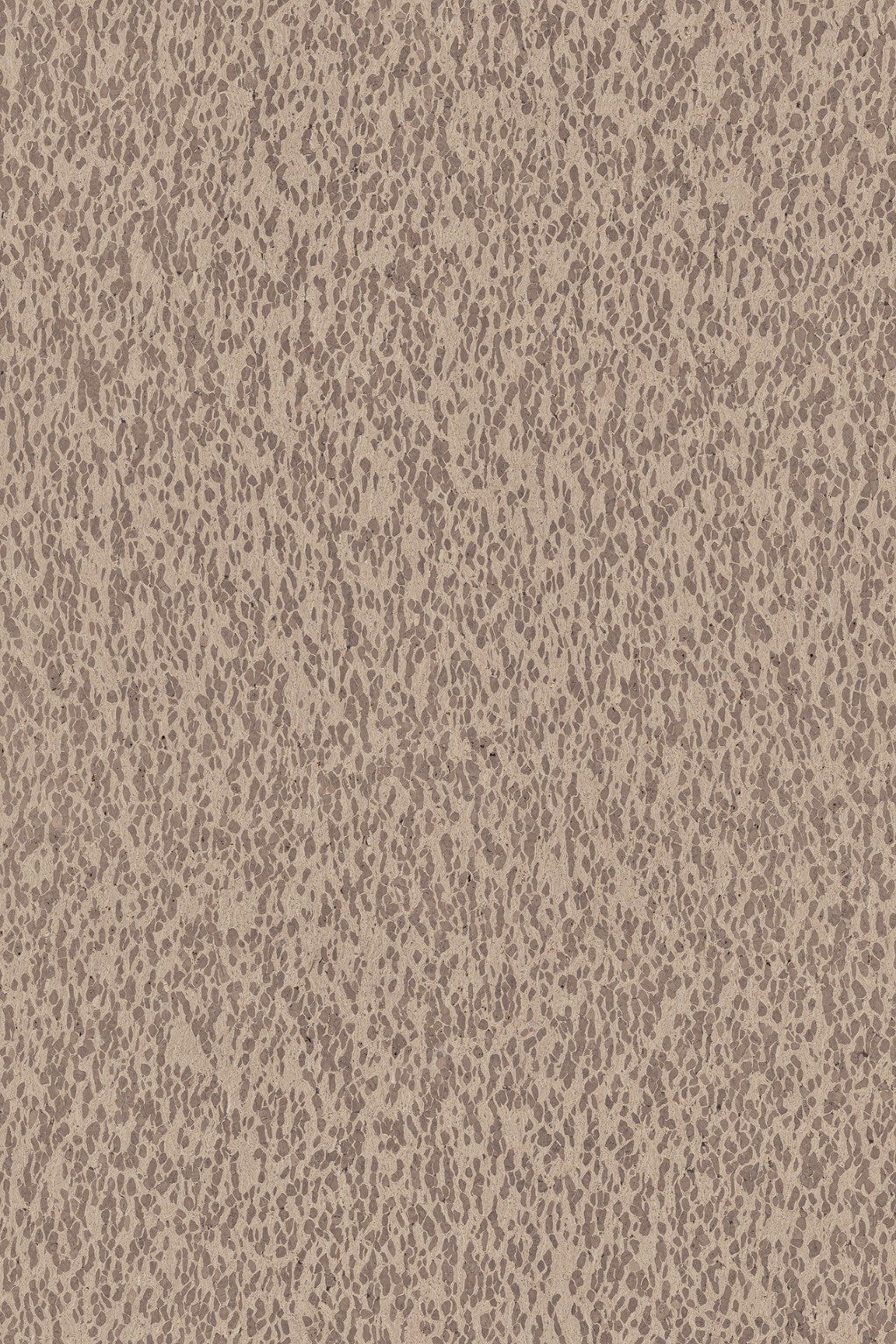 ARTE Motion Casca CAS31 afbeelding 1 "Bruin"