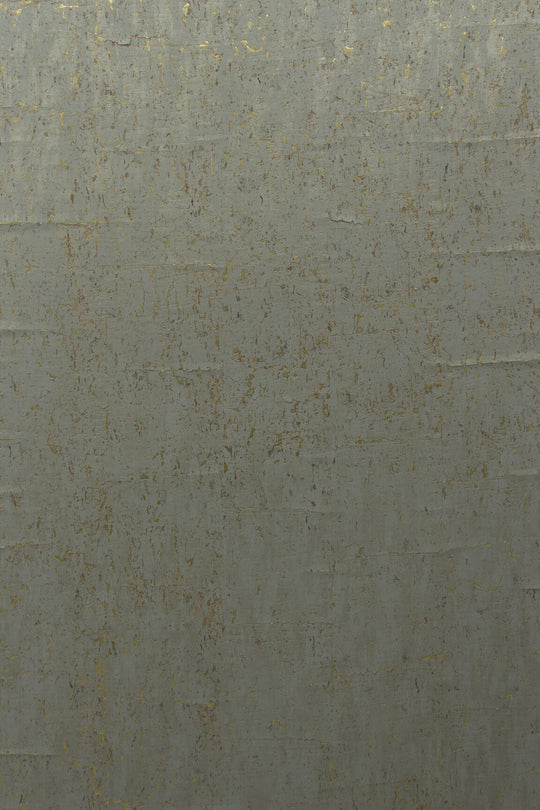 ARTE CA1 Cobra CA17 afbeelding 1 "Zwart / Grijs"