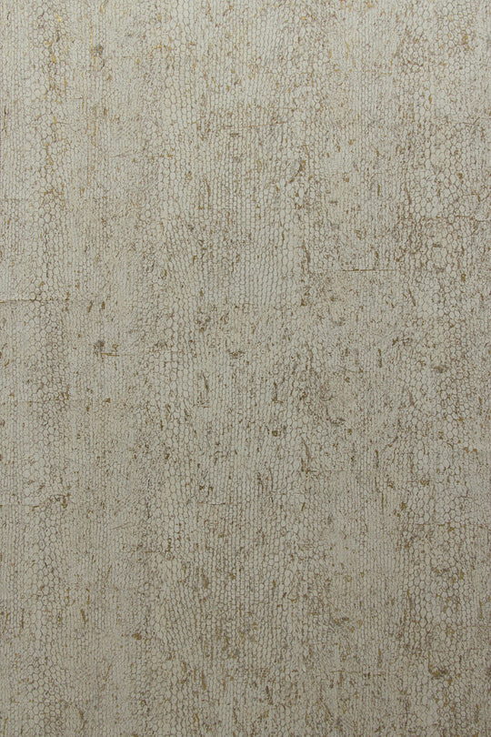 ARTE CA2 Cobra CA21 afbeelding 1 "Zwart / Grijs"