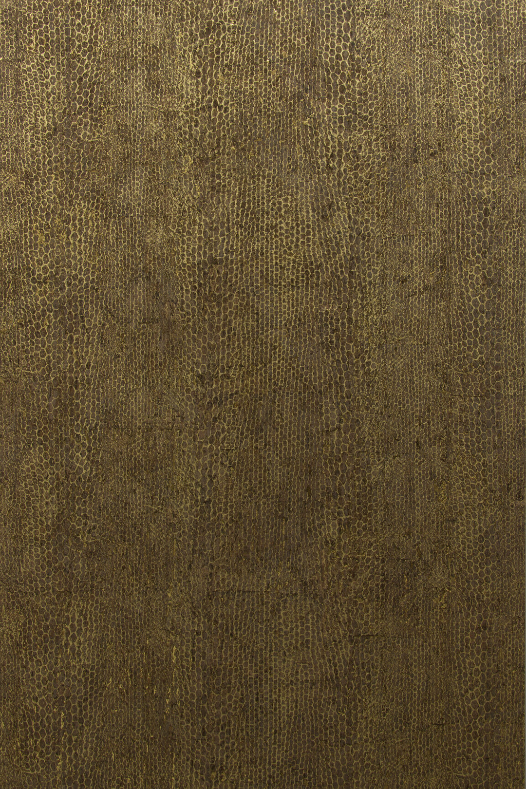 ARTE CA2 Cobra CA24 afbeelding 1 "Goud","Bruin"