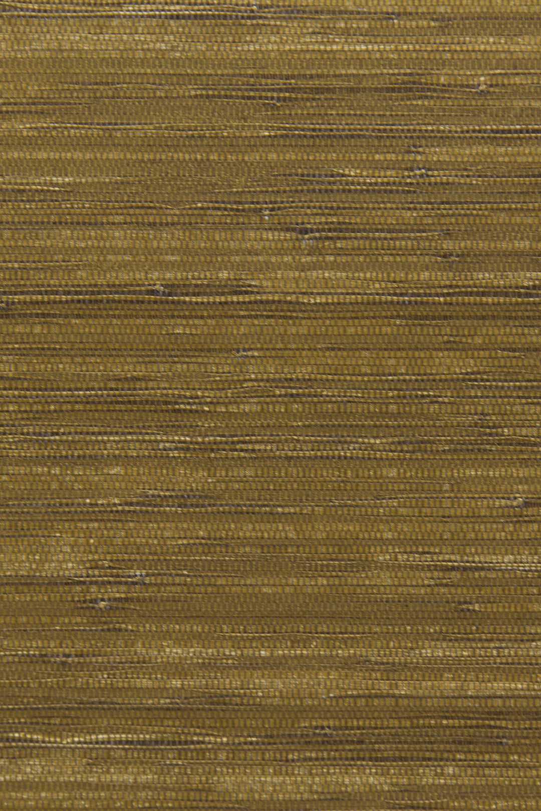 ARTE CA4 Cobra CA44 afbeelding 1 "Goud"