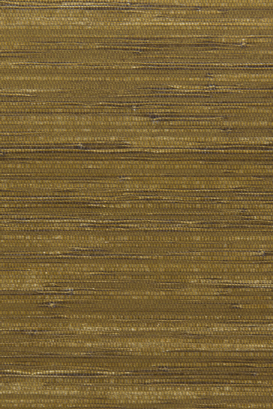ARTE CA4 Cobra CA44 afbeelding 1 "Goud"