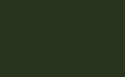 Intelligent Matt Emulsion | Dark Bronze Green