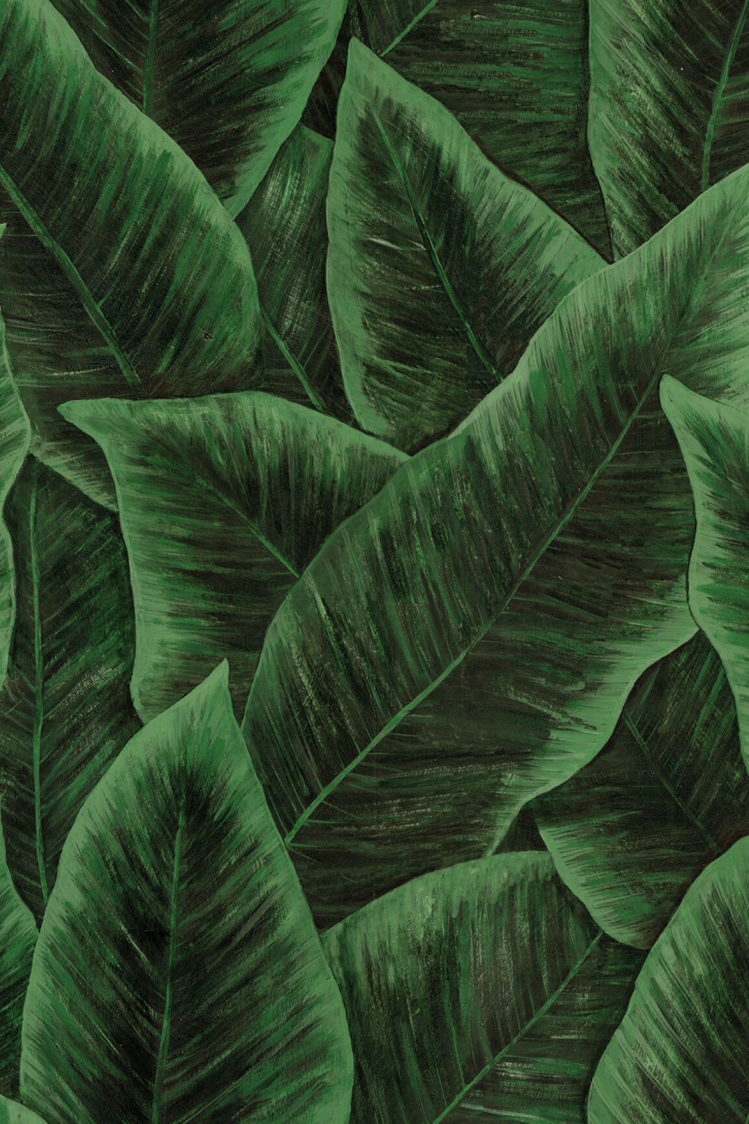 ARTE Bird of Paradise Décors & Panoramiques 97572 afbeelding 1 "Groen"