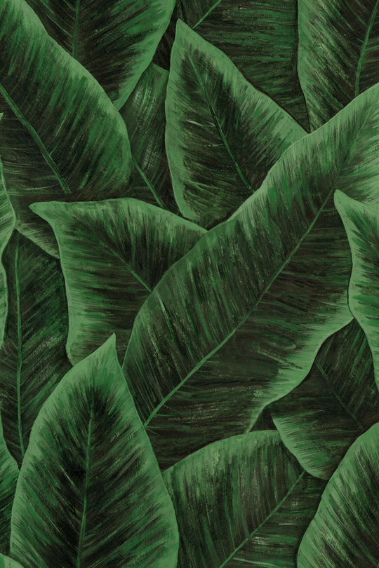 ARTE Bird of Paradise Décors &amp; Panoramiques 97572 afbeelding 1 "Groen"