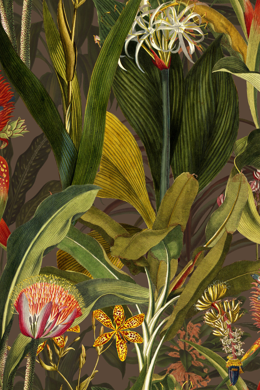 ARTE Blooming Pineapple Décors & Panoramiques 97601 afbeelding 1 "Multi","Groen"