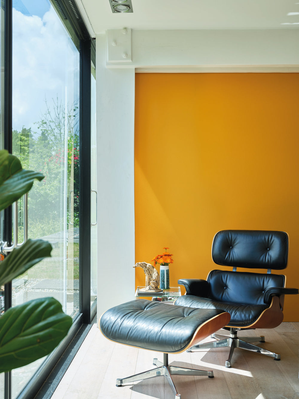 Dead Flat | Dutch Orange no. W76